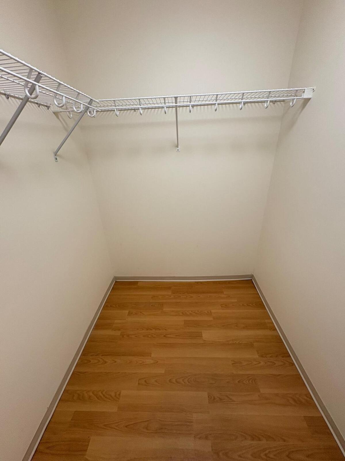 Pet Friendly - Cozy Nut Shell Apartment Asheville