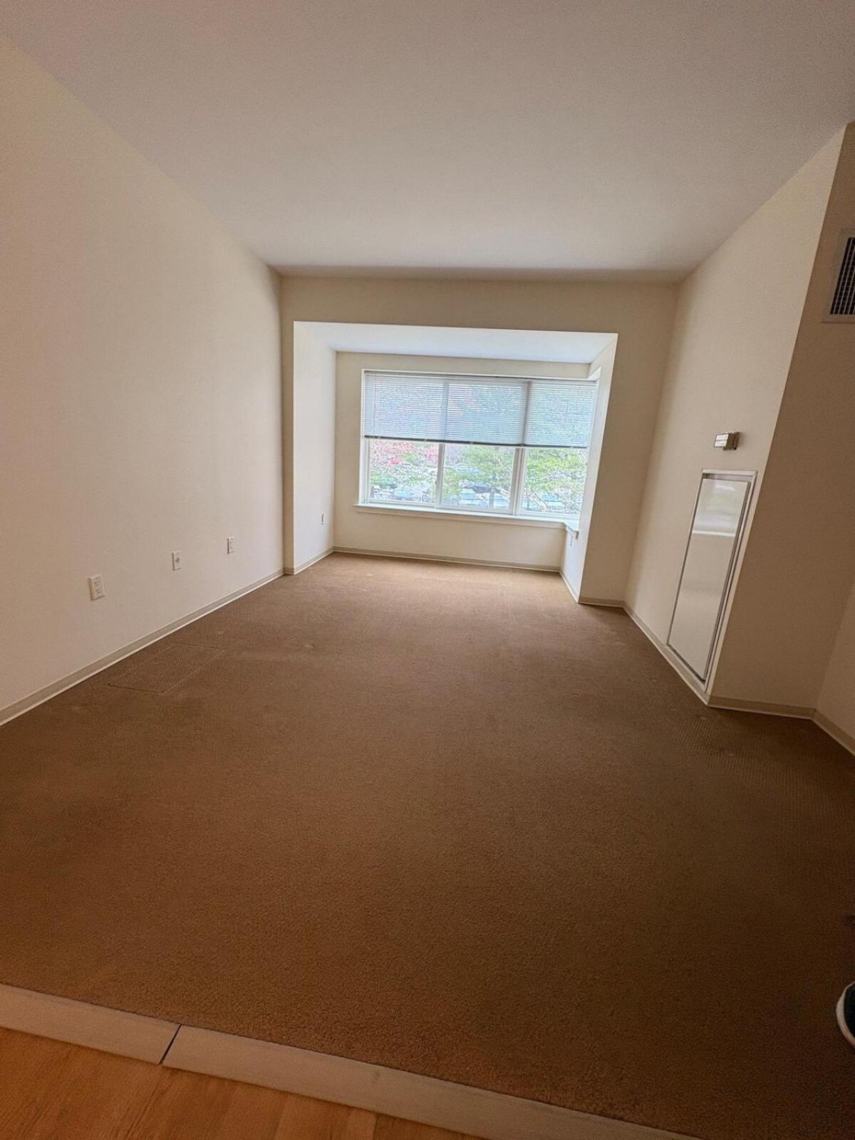 Apartment Pet Friendly - Cozy Nut Shell *